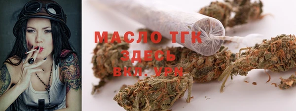 индика Абдулино