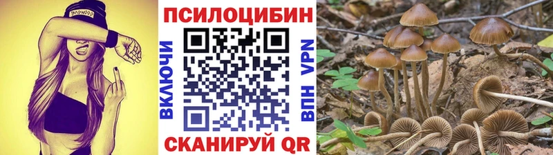 darknet как зайти  Смоленск  Псилоцибиновые грибы Psilocybe 